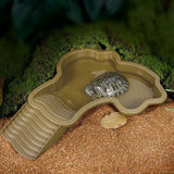 Reptile Bathing Pool Turtle Bath Amphibians Accessories with Ramp Tortoise Feeder Lizards Habitat for Tortoise Scorpion Snake B - Rear View