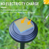 Solar Outdoor Lights, Solar Pathway Lights Outdoor, Solar Powered Garden Yard Lights for Walkway Sidewalk Driveway, Maintain 10 Hours of Lighting (2 Pack) 2 Pack Black - Low Angle