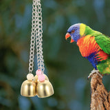 Rattle The Bell Parrot Toy for Large Birds - Stainless Steel Cage Decor for Parakeets, Cockatiels, and Small Tail Birds - Front View