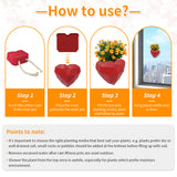 Wall Mounted Planter - NO DRILLING,Houseplant Wall Display Ideas,3D Printed Wall Planter with Drainage Tray - Top-Down View