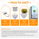Wall Mounted Planter - NO DRILLING,Houseplant Wall Display Ideas,3D Printed Wall Planter with Drainage Tray - Top-Down View