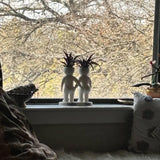 Funny Couple Air Plant Holder - Cheeky Anniversary Gift