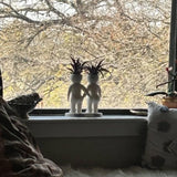 Funny Couple Air Plant Holder - Cheeky Anniversary Gift - Front View