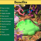 Mini Turtle Sandbox Desk Toy with  Small Tools, Mini Zen Garden Fidget Stress Relief Toys for Adults and Kids, Desktop Decor Accessories for Home and Office - Front View