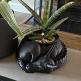 Dragon Planter, 3D Printed, Fantasy Decor, Dragon Pot, Dragon Bowl, Dragon Dish - Top-Down View