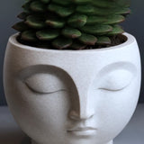 A 3D-printed, serene flowerpot, an eye-catching decorative piece for modern interior spaces. Suitable for planting small plants or succulents. - Front View