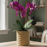 3D Printed Modern Wave Flower Pot - Water-Storing Rotating Base, Flesh Color, Single Piece