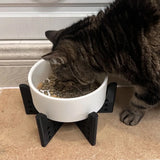 Elevator Pet Bowl, Neck Support Food Bowl, Easy to Clean (Elevator Cat Bowl), Black and White - Front View