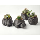 3D printed animal flower pots suitable for home and garden. Gray hedgehog single piece.