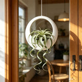 3D-printed circular hanging plant pot, white