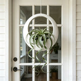 3D-printed circular hanging plant pot, white