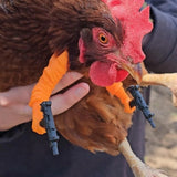 Chicken arms with Guns,Fun, Durable, Rooster Pistol Party, Perfect for Parties, Photoshoots and Pranks Costumes for Chickens to wear(White) - Side View