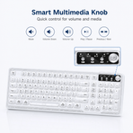 Tri-Mode Wireless Mechanical Keyboard, Bluetooth 5.0/2.4G/USB-C, 96% Layout RGB Backlit Keyboard, Hot Swappable Quiet Switch, Programmable Keys, Multi-Device for PC Mac iOS Android,Blush White