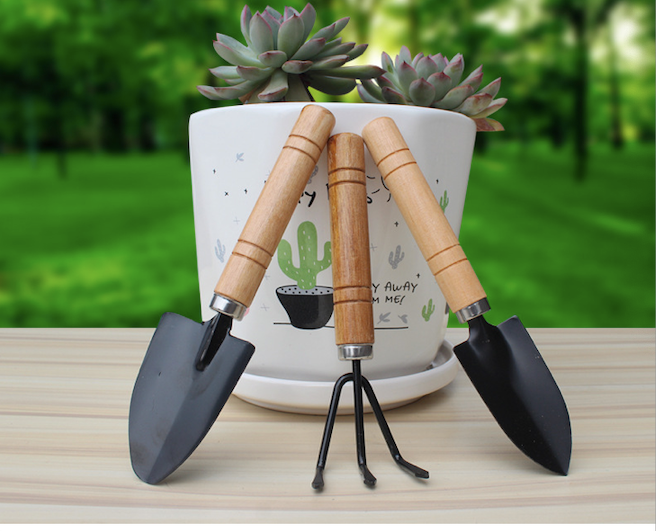 3-Piece Mini Garden Tool Set – Wooden Handle Trowel, Transplanter & Cultivator for Indoor Plants, Potted Succulents & Outdoor Gardening