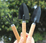 3-Piece Mini Garden Tool Set – Wooden Handle Trowel, Transplanter & Cultivator for Indoor Plants, Potted Succulents & Outdoor Gardening - Top-Down View