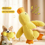 Small & Large Plush Ducks with Rope Carrot
