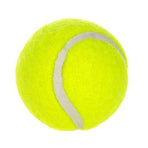 6-Pack 2inch Yellow Dog Tennis Balls