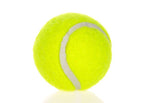 6-Pack 2inch Yellow Dog Tennis Balls