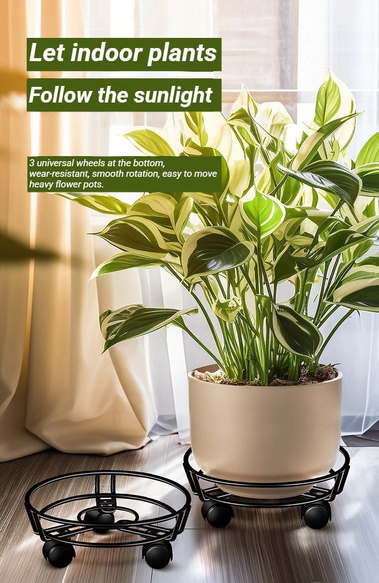 Black Round Wheel Plant Caddy