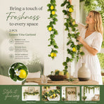Style B Fresh Scent Lemon Vine Backyard Landscape 2 Pack