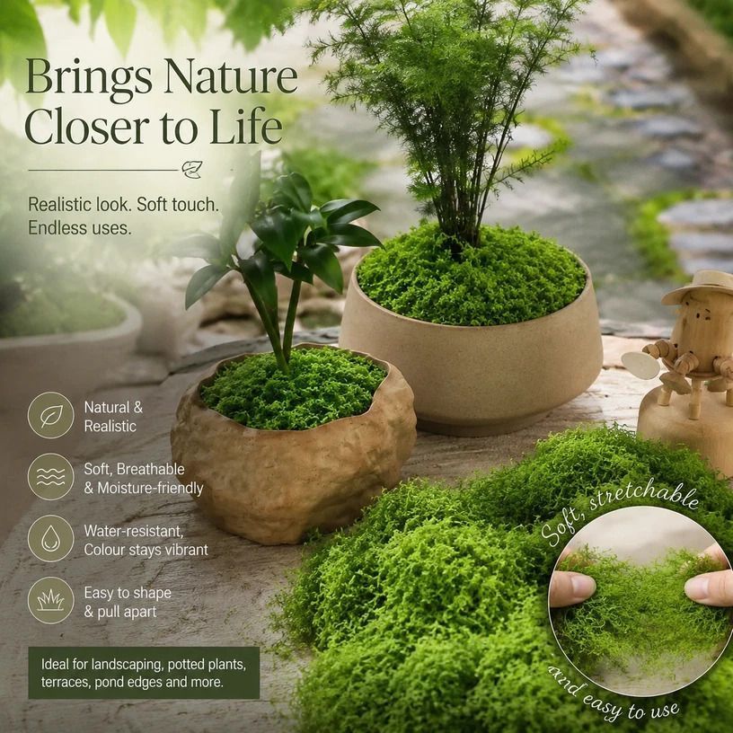 Dark Green Preserved Thread Moss Terrarium Bonsai Cover 50g