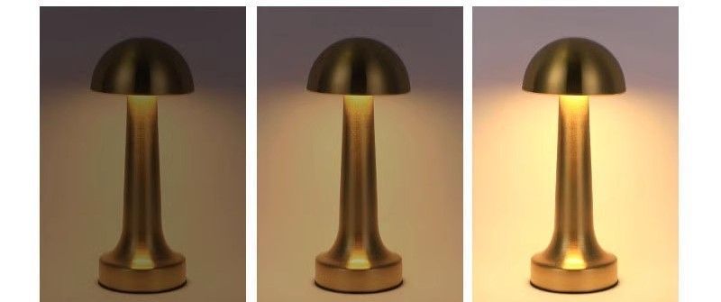 3-Color Dimmable LED Desk Lamp Silver Dumbbell D Style, USB Rechargeable Modern Simple, Dining Side Table Reading Light, for Christmas Gifting