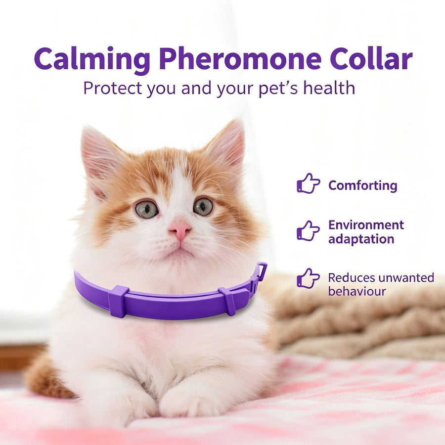 4 Pack Grey Cat Calming Collar 38cm | Halloween Pet Surprise | Stress Relief Comfort Calming Collar