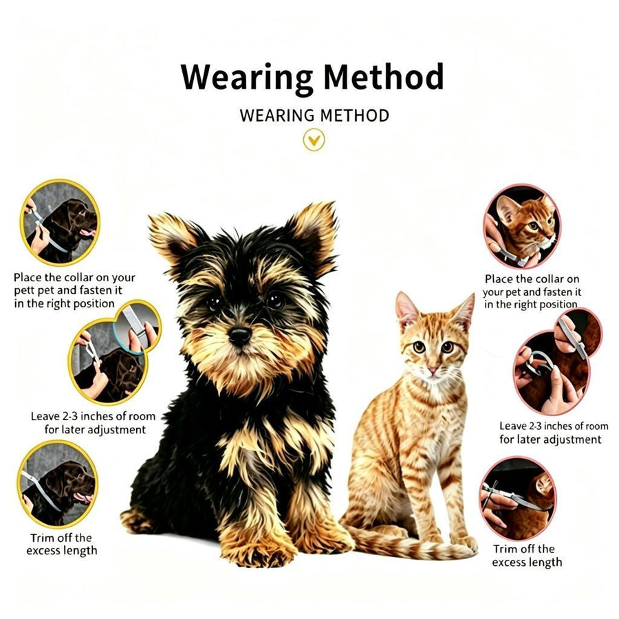 4 Pack Grey Cat Calming Collar 38cm | Halloween Pet Surprise | Stress Relief Comfort Calming Collar