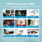 4 Pack Orange Cat Calming Collar 38cm | Christmas Energy Gift | Emotion Calming Anxiety Relief Collar