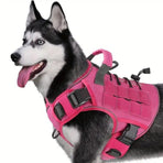 Rose Red S | Waterproof Outdoor Dog Vest Harness | Christmas Walk Gift | for Small Medium Border Collie