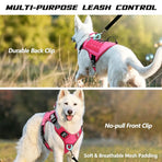 Rose Red S | Waterproof Outdoor Dog Vest Harness | Christmas Walk Gift | for Small Medium Border Collie