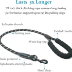 Purple 2-in-1 Retractable No-Pull Dog Leash | Halloween Elegant Stylish Gift | Unique Tangle-Free P-Style Dog Lead for Large Dogs