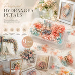 Dreamy Gradient Preserved Hydrangea Bulk DIY Craft Flower Pack 9 Boxes 5g Per Box