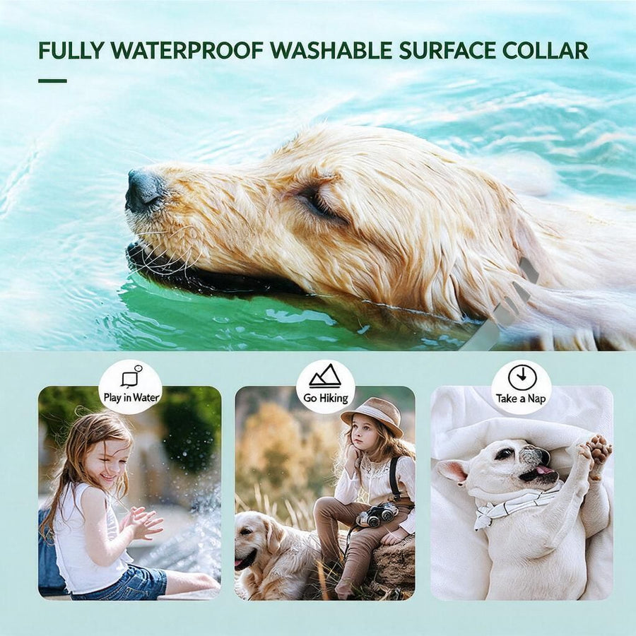 Adjustable Cat Flea & Mosquito Repellent Collar Pink Tin 38cm 8 Month Long-Lasting Protection Safe for Indoor Cats Halloween