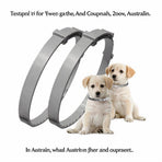 62cm Flea & Tick Repellent Dog Collar Orange Buckle Tin 8 Month Mosquito Protection Water Resistant Outdoor