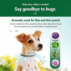 Pink Buckle Strap Dog Neck Band 62cm Tin Case One Size Fits All Eco-Friendly 8 Month Protection from Fleas Ticks Larvae Lice Mosquitoes