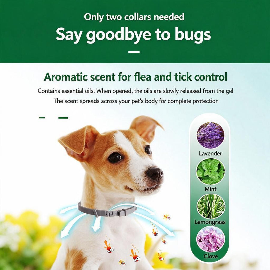 Pink Buckle Strap Dog Neck Band 62cm Tin Case One Size Fits All Eco-Friendly 8 Month Protection from Fleas Ticks Larvae Lice Mosquitoes