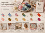 Violet Pink & Modern Mixed Shade Gradient Hydrangea Resin Ornament Bulk Material 4 Boxes