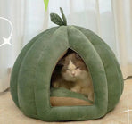 Cat Beds for Indoor Cats S