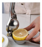 Small Stainless Steel Lemon Squeezer with Long Handle