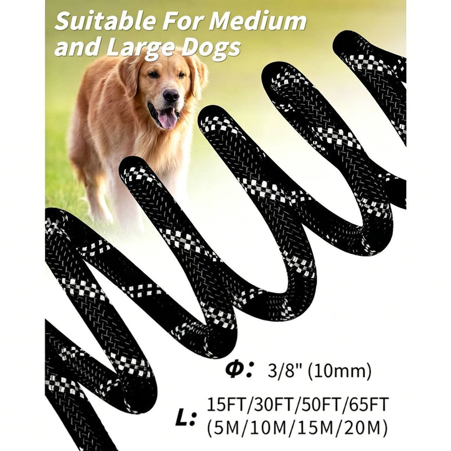 Large Dog Leash Orange 01