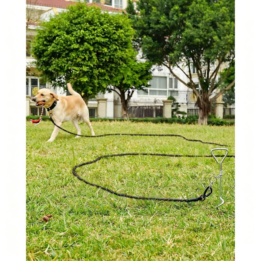 Large Dog Leash Black 03