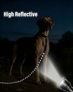 Large Dog Leash Black 03