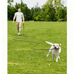 Large Dog Leash Orange 03