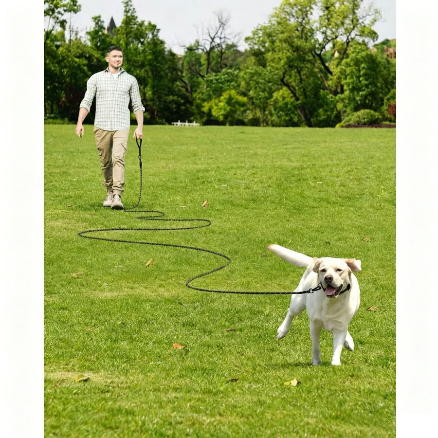 Large Dog Leash Orange 03