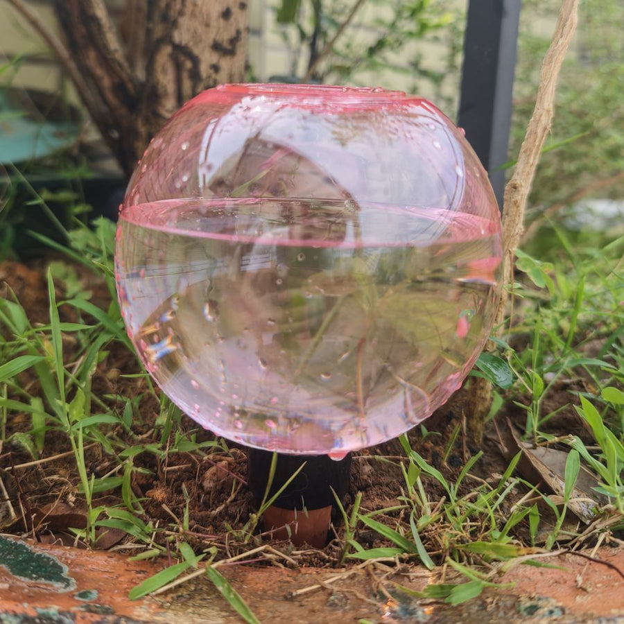 3PCS Plant Watering Globes, 500ml Self Watering Planter Insert Green