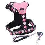 Y-Shaped Anti-Pull Pet Harness + Leash Set: Breathable Mesh, Adjustable, No Neck Choking, Suitable for Small to Medium-Sized Dogs and Cats, Makes Walking Easier. (BLACK, Size S)
