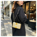 Fashion Metal Magnetic Chain Small Square Bag: Crossbody & Shoulder Bag, Polyester Lining.(leopard print)