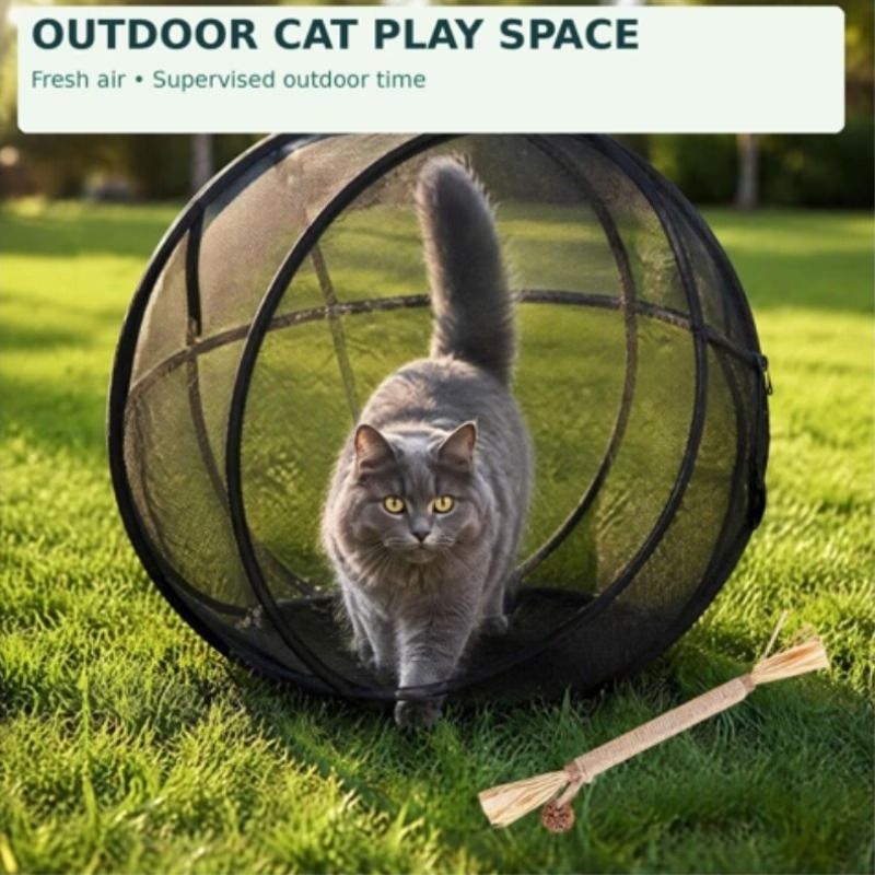 360° Panoramic Pop-Up Cat Enclosure Ball: breathable polyester mesh, escape-proof zipper, tool-free instant setup & foldable—an outdoor cat-walking essential.