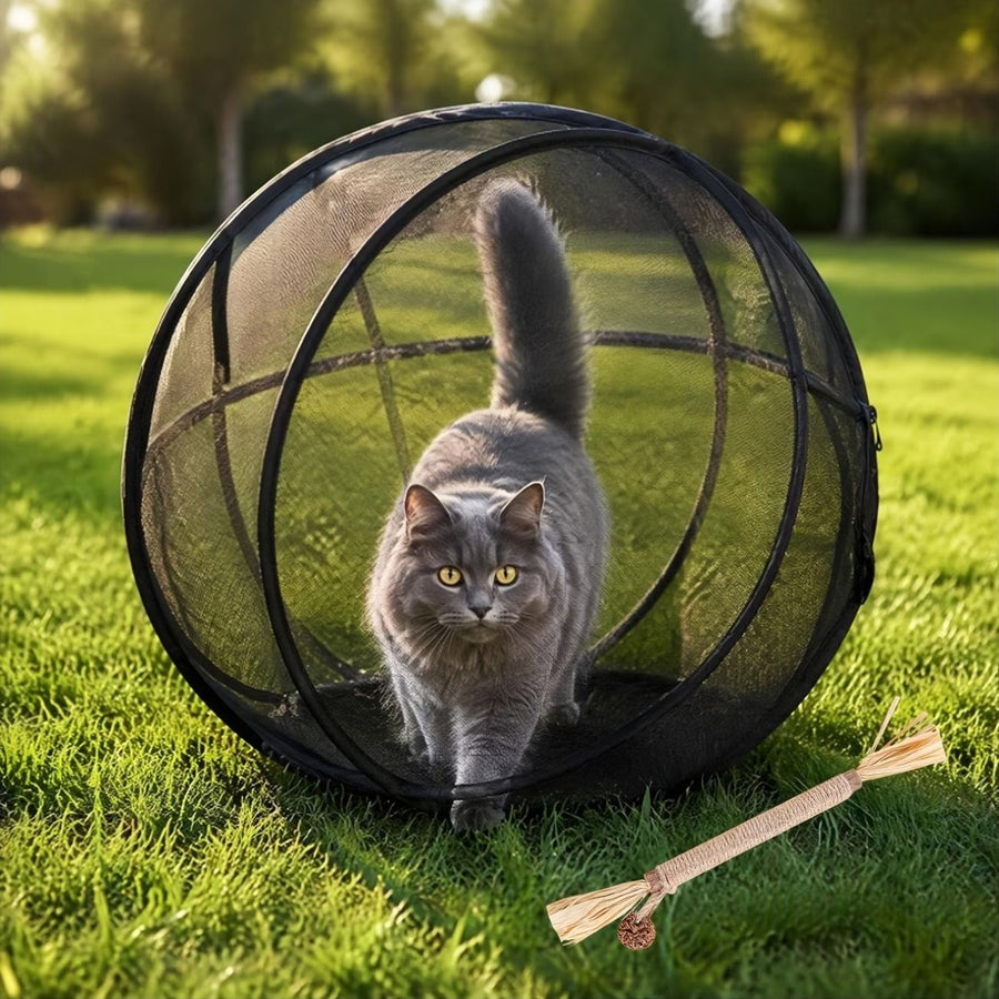360° Panoramic Pop-Up Cat Enclosure Ball: breathable polyester mesh, escape-proof zipper, tool-free instant setup & foldable—an outdoor cat-walking essential.